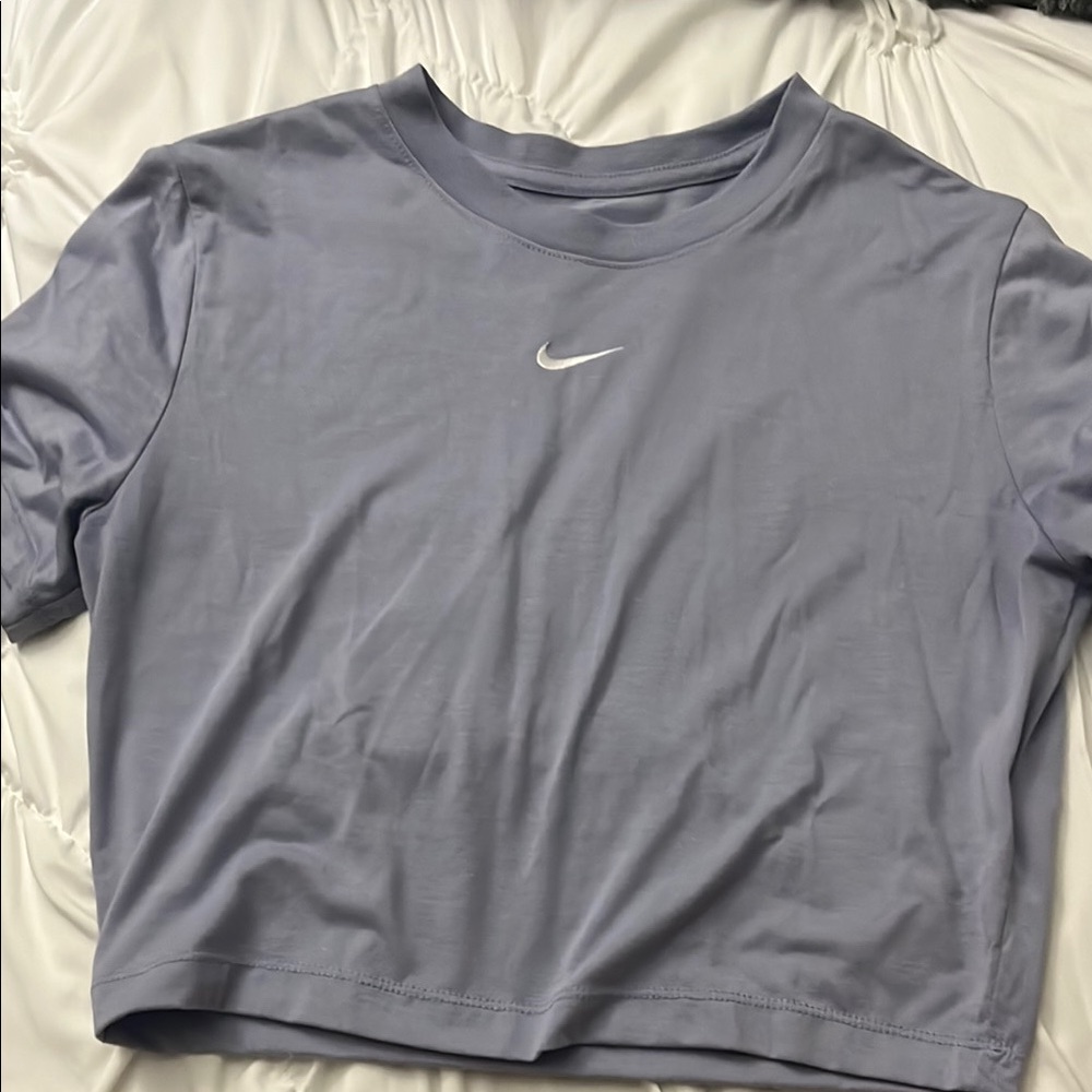 Nike Gray and Purple Crop T-Shirt